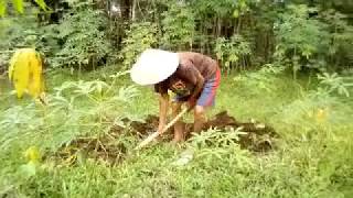 Sorot Nuswantoro Peduli