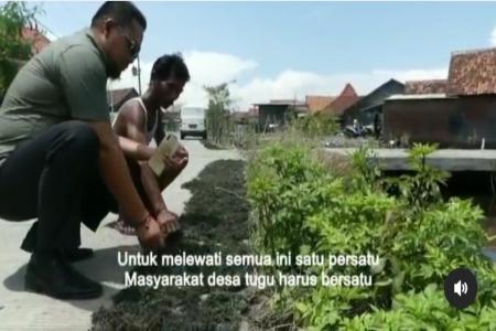 DESA TUGU SAYUNG DEMAK POTENSI RUMPUT 
