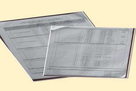 LELANG SAWAH BKM DIDUGA KISRUH DI 