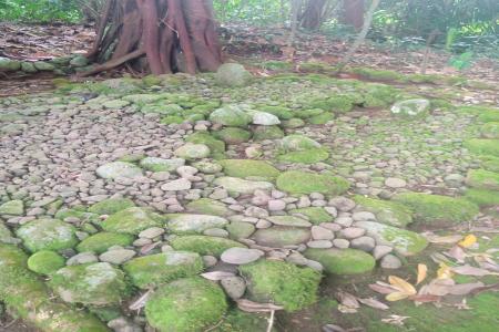 Situs makam Kyai Jeneng Desa Sumingkir