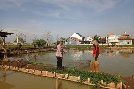 WUJUD NYATA DUKUNG KETAHANAN PANGA