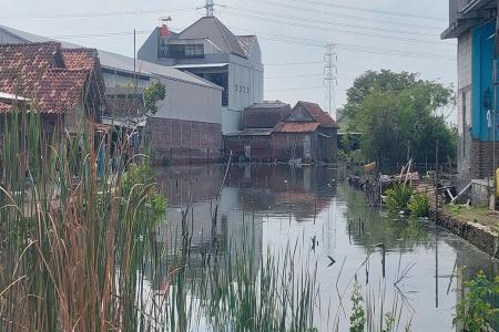 WILAYAH PESISIR  DEMAK APAKAH SUDA