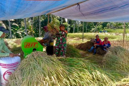 BULIR PADI PILAR NEGERI, SINERGI B