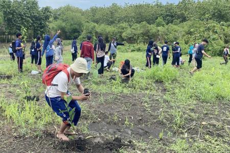 HIJAUKAN HUTAN, PERHUTANI DAN MAHA
